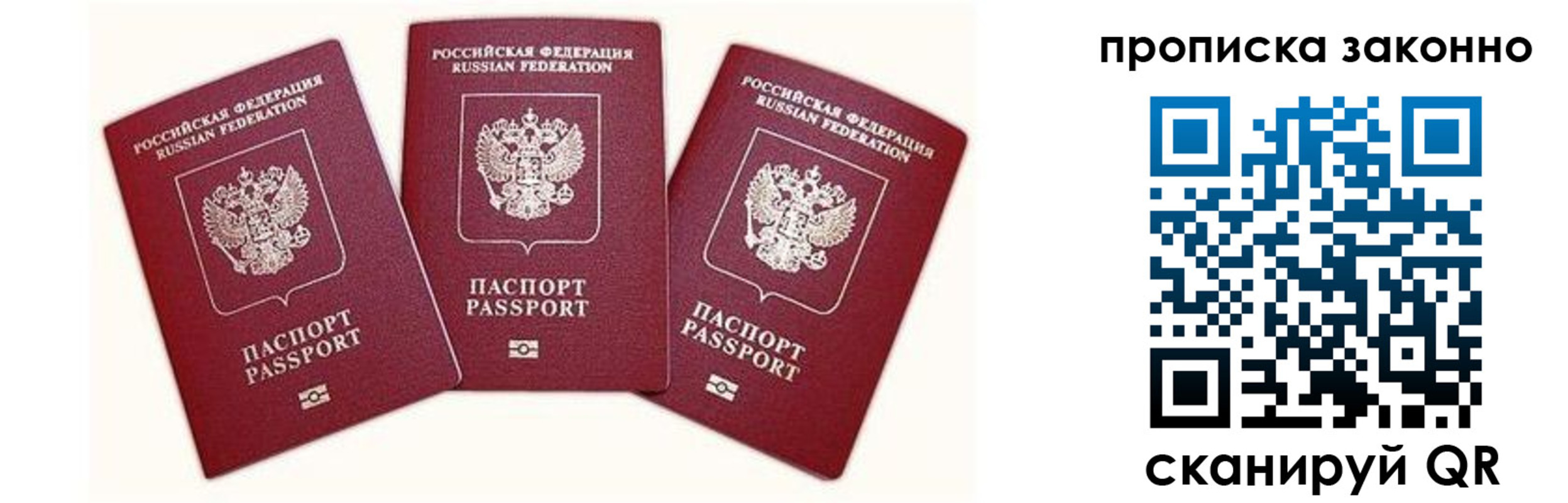 прописка законно в Завитинске