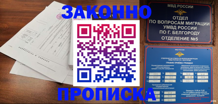 прописка в Завитинске